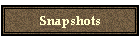 Snapshots